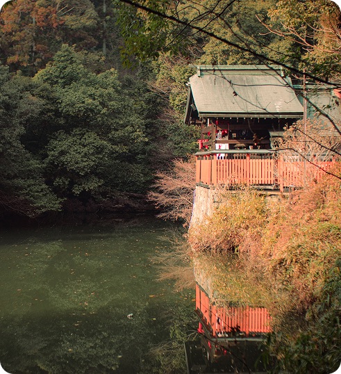 Where Akiyas Become Opportunity